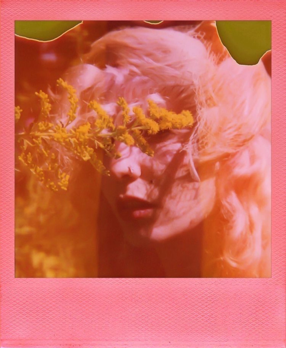 Petra Collins female gaze