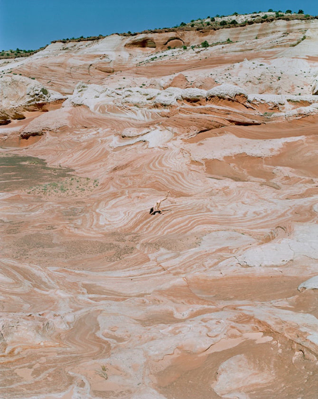 Synchrodogs ethereal landscape